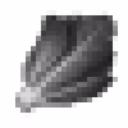 45402188041161711857602650062681477606660445235074565517026972846154191994881