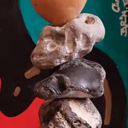 potato "Linda"
