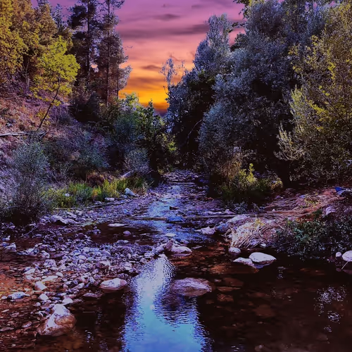 Dreamofnature
