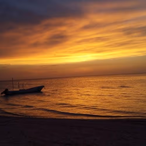 HOLBOX