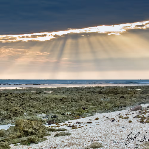 Coastlifephotography