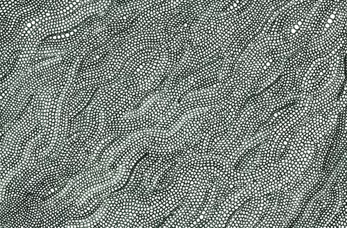 Item #56231055166534768819260761756004250554455450585187543117911899982609998938113 Media