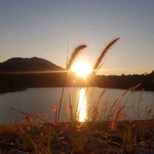 Untitled Collection #249397000