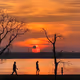 Sunset - Rayleigh Scattering