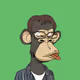 BKLYN APE CLUB