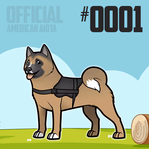 $USKITA Offical | American Akita Donation NFTs
