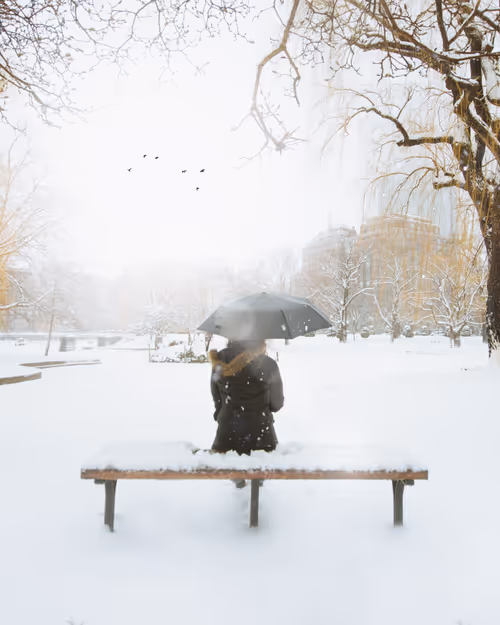 Item #66460689049240691187665992793349203300981892651978130427765601865963340300289 Media