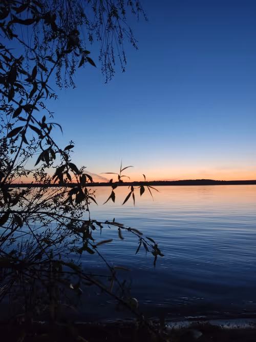 Item #62144476528507441180481710396898939687788168454617408564338719833345994260481 Media