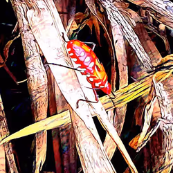 81269833061274051173789884418282317830923519221172308843662164496664236130305