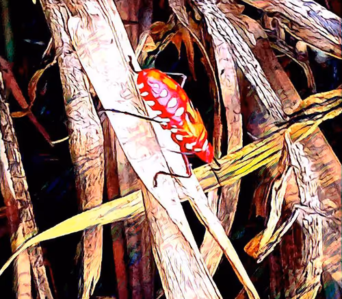 Item #81269833061274051173789884418282317830923519221172308843662164496664236130305 Media