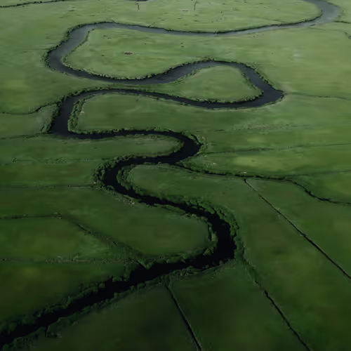Flightpatterns