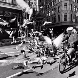 40449787652065743018640773044495240111019622512701765753694832826830465007617