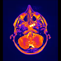 64162533542198579898252916190583583845604629893829087458582975832653924663297