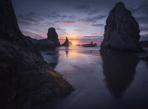 Neil Tapman Collection