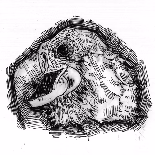 Disturbing Parrot