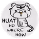 6216225654828198257102773832121918750360002643656645072309525759816342962177