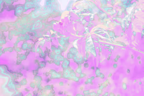 Item #27434377377013038178664737441891876800279773627045091571206927086824120647681 Media