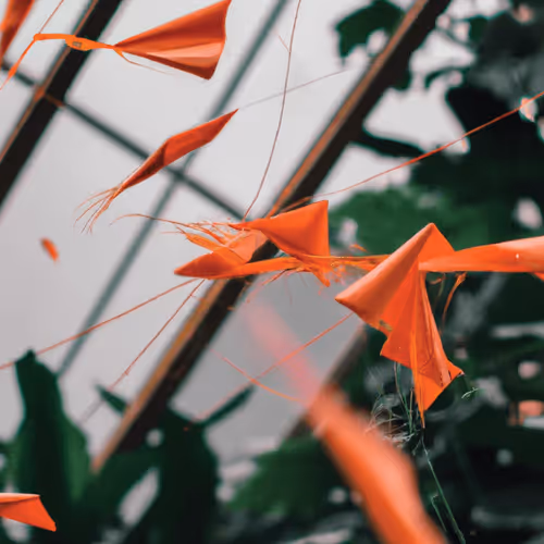 [Gift] June's Gratitude 2023