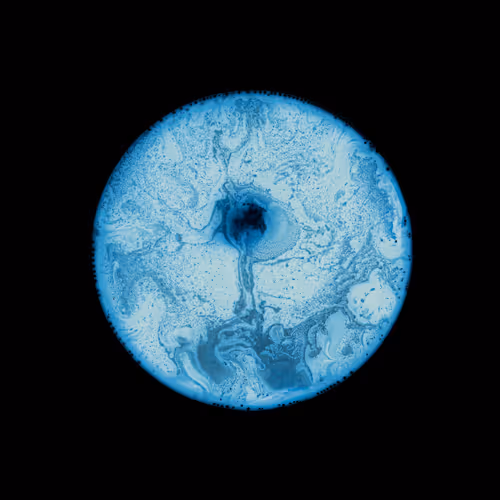 Item #39853347361311550538823328626004824816221754573894422864413753560588087197697 Media