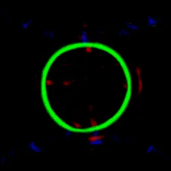 51929734946411346289540790635765095060363125039145709683616697128769915191297