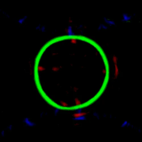 Item #51929734946411346289540790635765095060363125039145709683616697128769915191297 Media