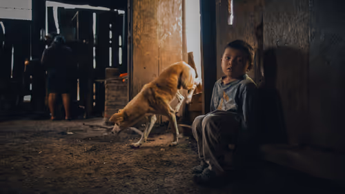 Item #38640678418960091879167073134620808059318826379912893500964934314064412147713 Media