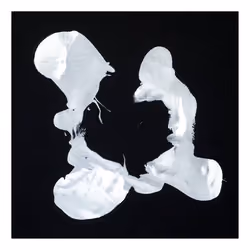 Mike Vensel / Untitled / Volume 3 / Series 3 / Number 10