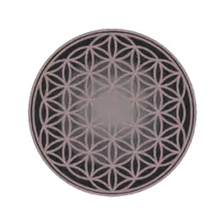 4927017782044229426331482456671357329386030981101879938860566497052537651208