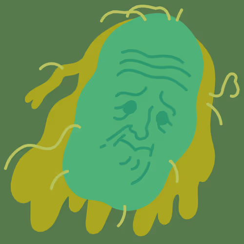 30122798839615041034586733701257553437826504935434847172895234715081343238145