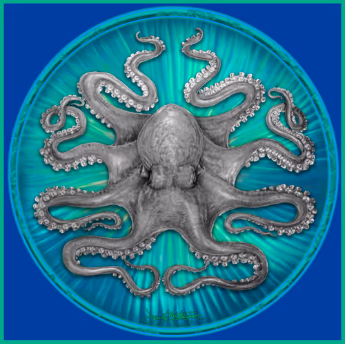 Item #23702439186652258915018787743333415519611983395712092947699051974110268620805 Media