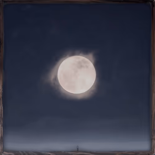 Item #93392752281166844812307602677858449481799006470261551105111296893044085751809 Media