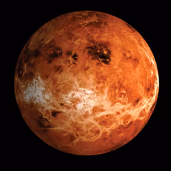 Venere #8