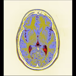 64162533542198579898252916190583583845604629893829087458582976561630133878785