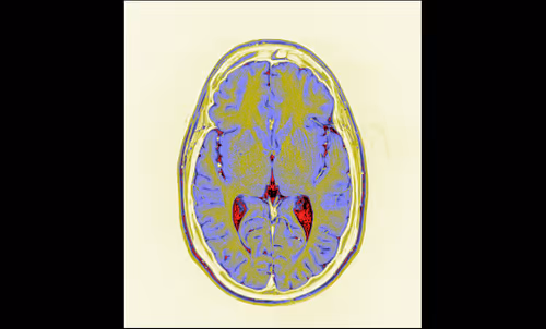 Item #64162533542198579898252916190583583845604629893829087458582976561630133878785 Media