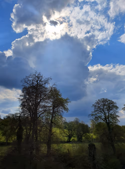 Item #52026421495237307124508671678768982950120800692193749930383155780206964244481 Media