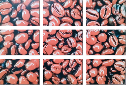 Item #39425846421802280996231740338929997167545085552399292352466571973585019076609 Media