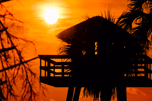 Item #36996943031330878908179400249614479355008528857221484204440702241455013363722 Media