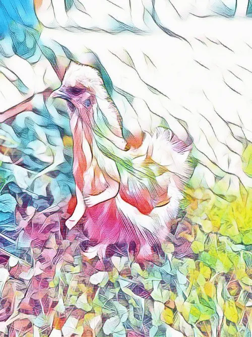 Item #12986001583624842443475589555777676835882886084855718816066093846598051168257 Media