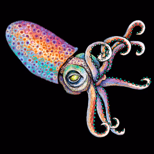 Item #72695523464753550601147126795501667149014001806411121621206157122862449688577 Media