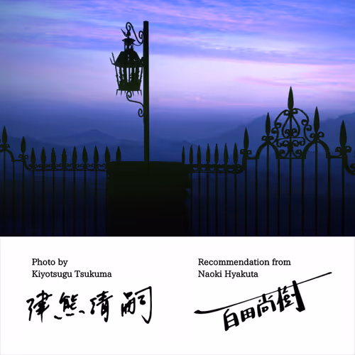 Item #50363599063163147153613145821536573388188757472313701897706766312161455112193 Media