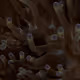 67795505619931490141593079376400316859417509145610672143318596157708653559809