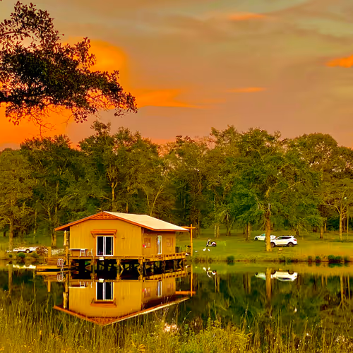 vishnoo2021 Collection