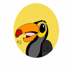 Cartoon Birds
