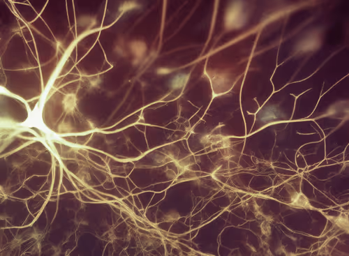 Item #98695163844141812296559601516468632585703412525772017875852753033963484741633 Media