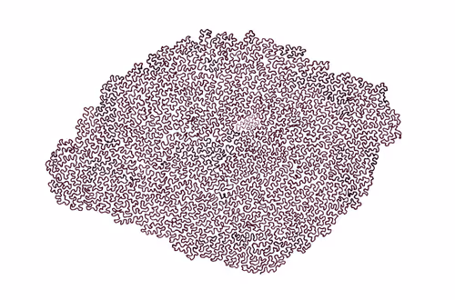 Item #56231055166534768819260761756004250554455450585187543117911899966117324521473 Media