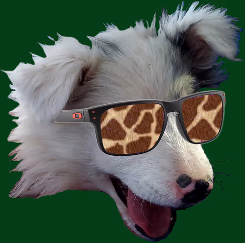 Item #7900822270628422582143876212382818319286875889299117668657140787905665433601 Media