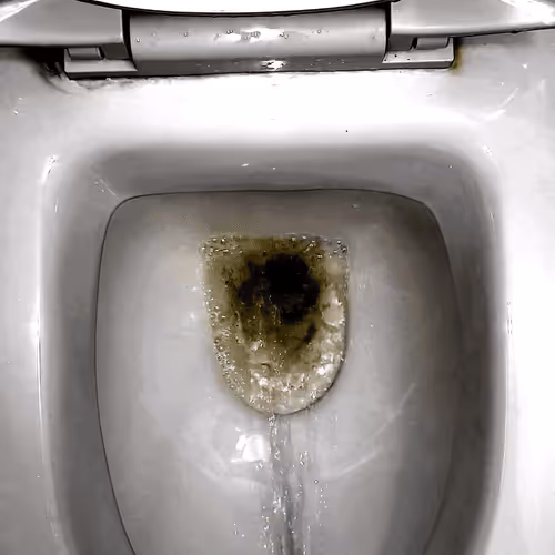 12660136923828748263426703316480839463053827608546839420335323818403202859009