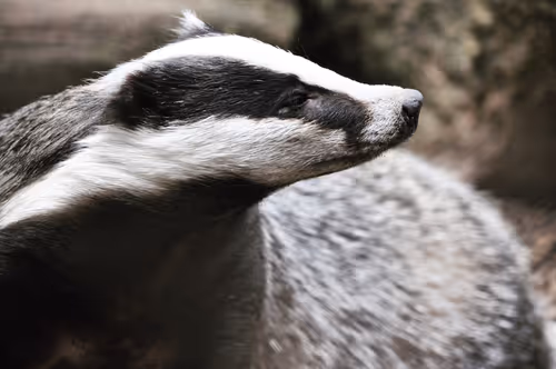 Item #106870078454534698311606461225664382982354268042883800261475775704605548085249 Media