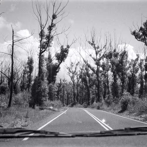 109162157552346088047496633038404394118504199992061596446112929511671687282689