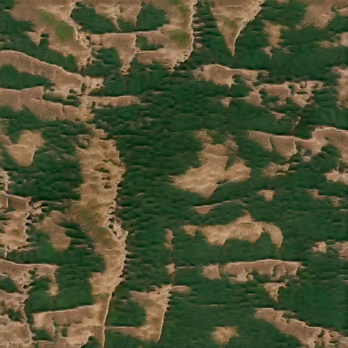 Item #69631898820471249947518554092327263364481362894286117003993692814288950919169 Media